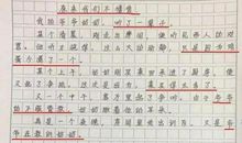 初中女生的期末作文火了，总结对爱的理解，网友：看得很透彻