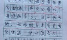 我是一个有情趣的人作文