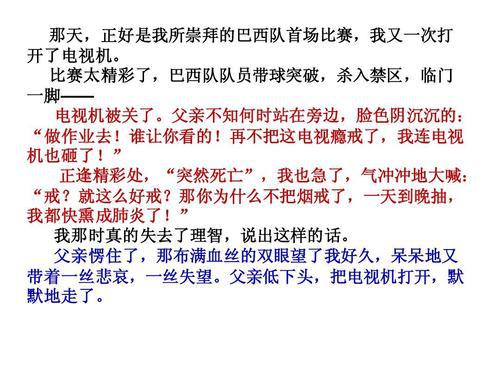 缤纷巴西 初中说明文1200字
