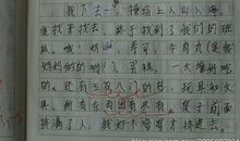 游花卉市场作文