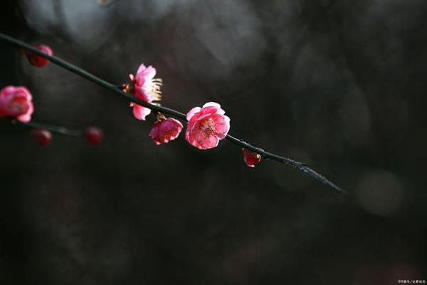 疫情之下给学生的思考(作文素材二) 2
