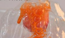 火山的实验作文