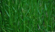 疫情之下给学生的思考（作文素材二）