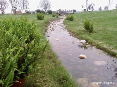 五年级学生作文:二十年后的家乡