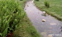 五年级学生作文：二十年后的家乡