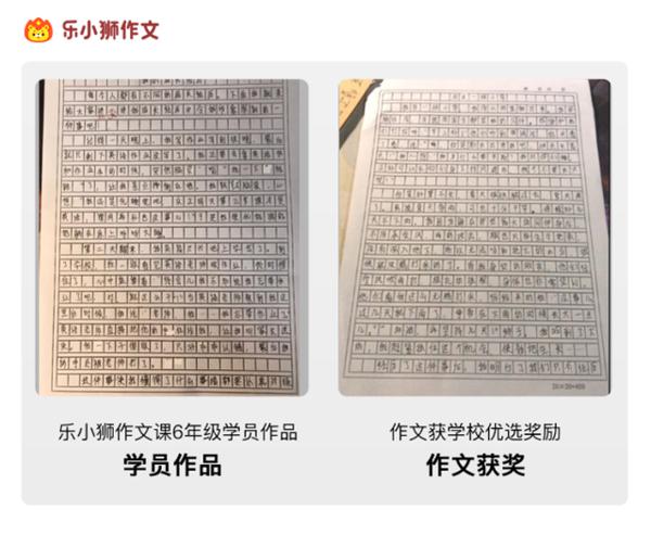 乐小狮作文:大语文教育,眼光可以再长远点 3