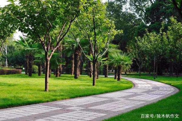 三年级作文：人民公园四季