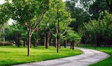 三年级作文：人民公园四季