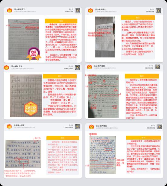 乐小狮作文:大语文教育,眼光可以再长远点 1