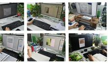 乐小狮作文：大语文教育，眼光可以再长远点