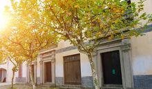 宅家的日子 疫情中的春节作文1000字