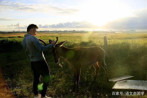 2020届高考作文冲刺指导系列一:“枪响后没有赢家”作文题评析 3
