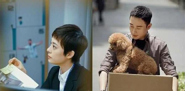 房产公司员工发文讨厌孙俪，却被孙俪本人回复，公司要求写读后感 4