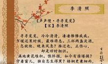 当我遇见李清照 记叙文范文800字