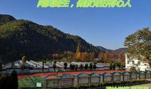 【读后感】程夏姿|向美而生，做教育的有心人 ——读郑英老师书籍有感