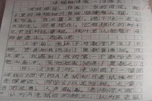 记一次读书交流会有感-优秀记叙文600字