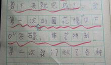 快乐的美术课-小学写事作文400字