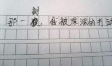 那一刻，我感到了游戏的魅力 初中记叙文600字