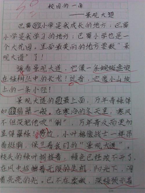 校园怡景 写景的作文700字