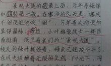 校园怡景 写景的作文700字