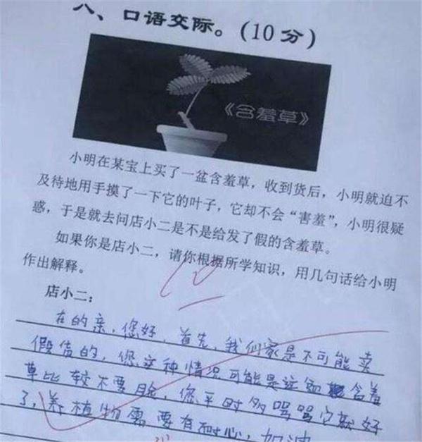 小学生奇葩作文,一“字”之差就开车,爸爸尴尬:脸都被你丢完了 3