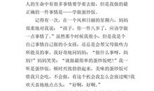 我那独特的蛋炒饭 写事的作文500字