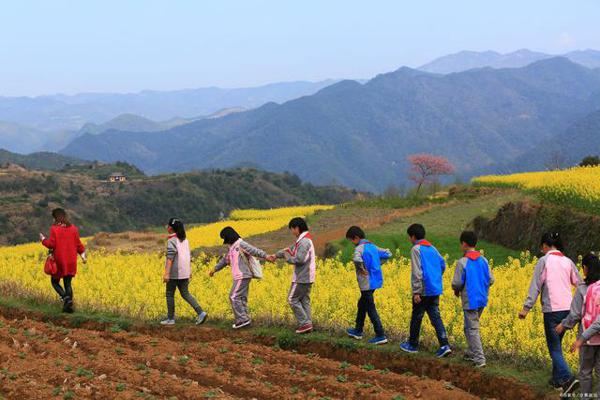 小学生作文难?家长不要过于忧愁,大数据分析下有径可循 5