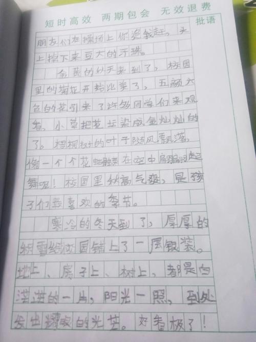 初三写景作文：美丽的校园_600字