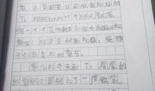 初三写景作文：美丽的校园_600字