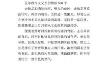 熟悉的背影的作文