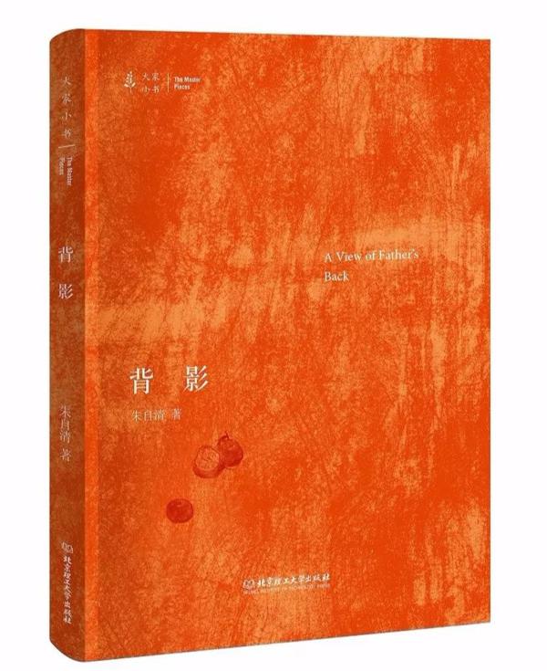 《大家小书》：读透大师经典，孩子作文不愁 4
