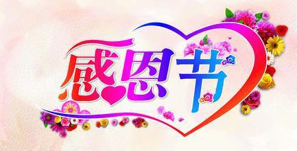 2015年小学生感恩节活动策划方案