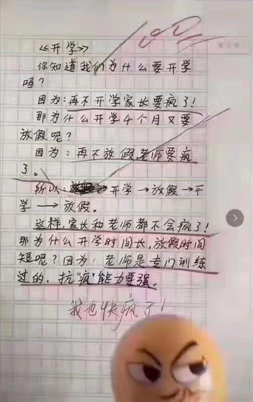一组神作文，看后不准笑，也不能哭！ 5
