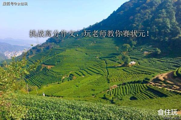原创 挑战高分作文：一次难忘的聚会 2