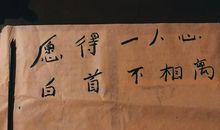 七年级生活随记600字