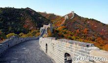 关于雷伊的优秀作文