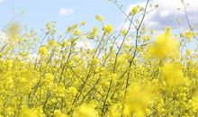 【知学悦读】名家代表作读后感征集活动第一期