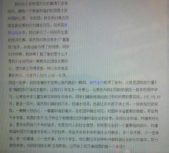 关于和谐的作文：和谐_700字