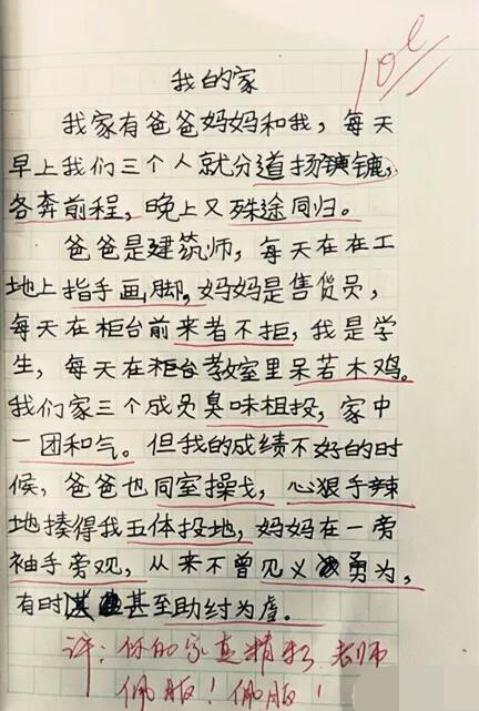 小学生“另类”作文走红网络,奇葩脑回路让人折服,真难为了老师 2