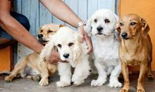 读者说：“你写的东西很受用。”这又是一篇干货满满的作文指导