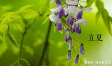 四年级作文：立夏之约