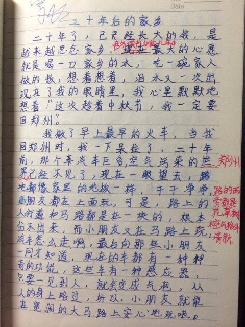 二十年后的家乡 想象的作文700字