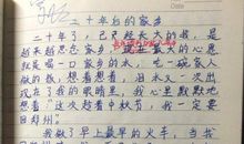 二十年后的家乡 想象的作文700字