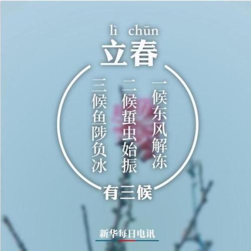 万物生长就在今天――立春 二十四节气作文500字