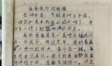 爸爸在一线，我是后勤兵 写事的作文300字