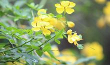 疫情之下给学生的思考（作文素材）