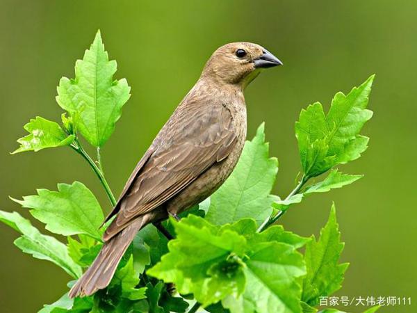 60年前1-3年级的作文题,为孩子打开一片新世界,老师家长看过来 1