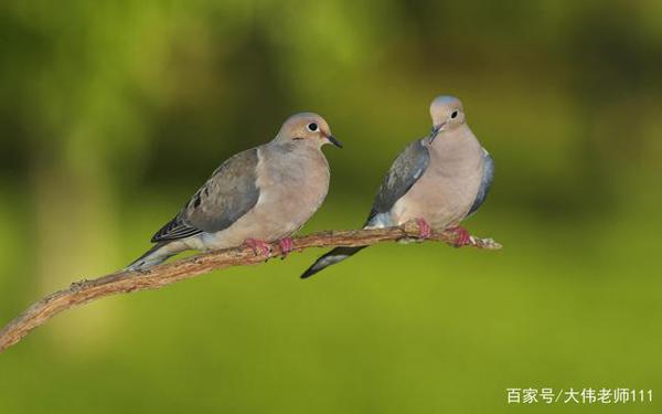 60年前1-3年级的作文题,为孩子打开一片新世界,老师家长看过来