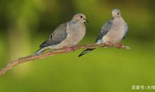 60年前1-3年级的作文题，为孩子打开一片新世界，老师家长看过来