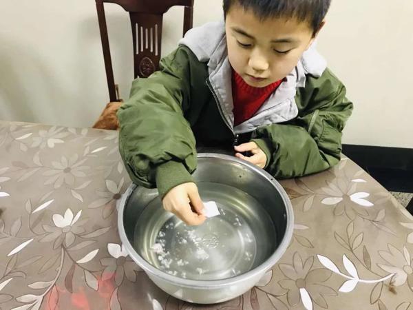 小实验微作文 | ⑤ 水中花开 8